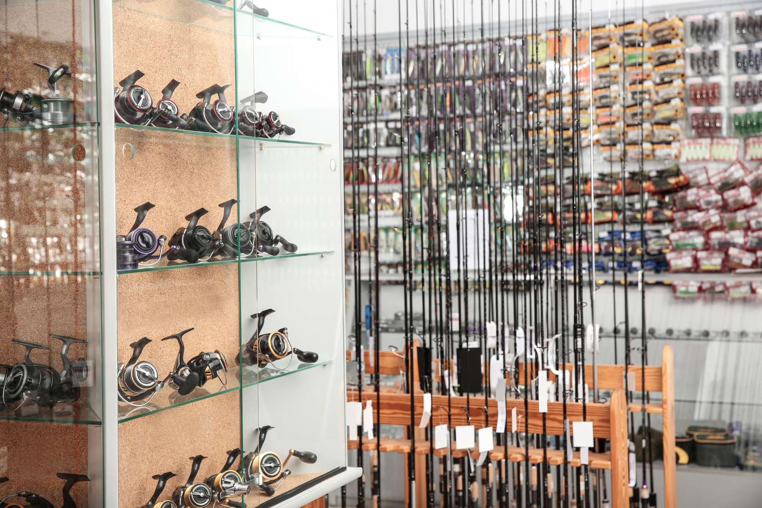 Top Fishing Gear for Beginners in 2025: What You Really Need to Get Started